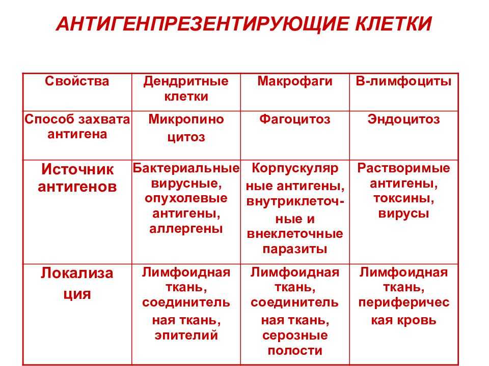Антигенпрезентирующие клетки (апк) презентация, доклад, проект