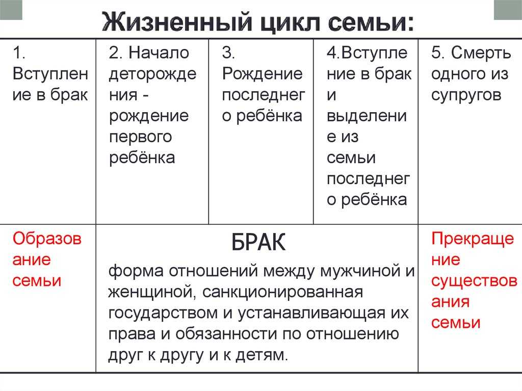 Типы семей и их характеристика