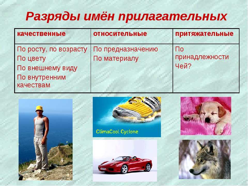 Качественные, относительные и притяжательные прилагательные