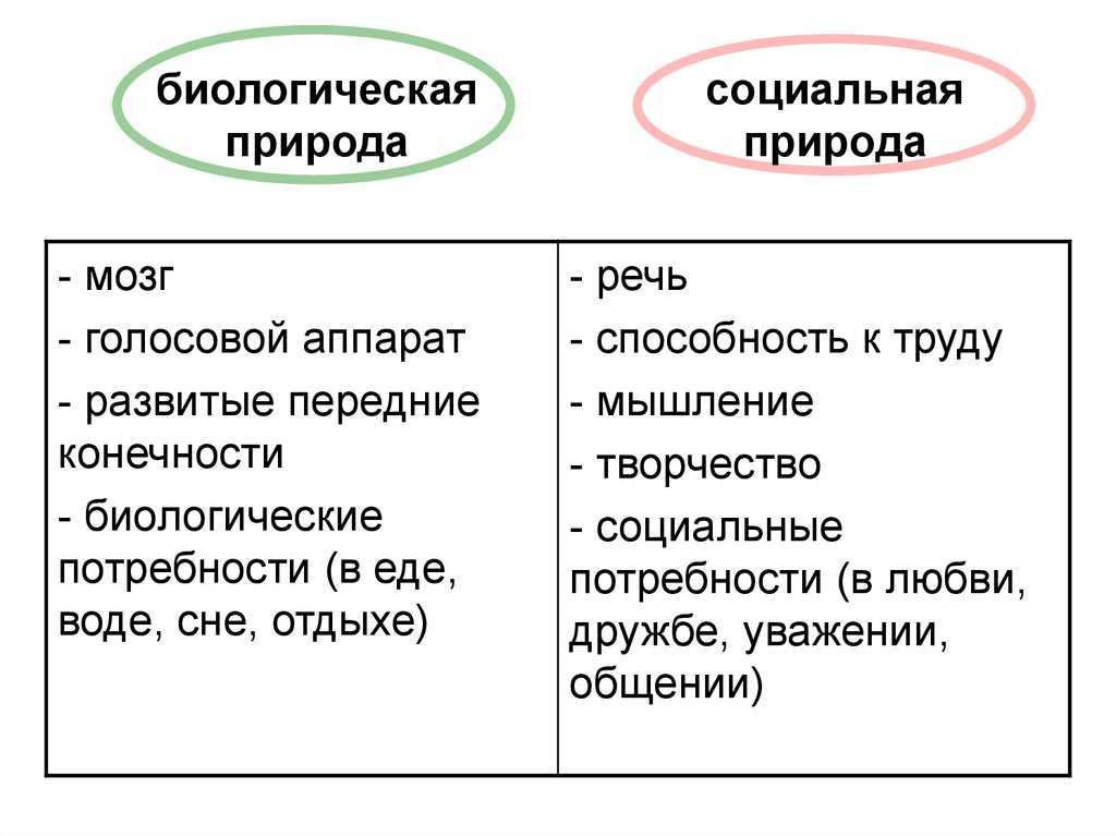 Взаимодействие биологического и социального в человеке