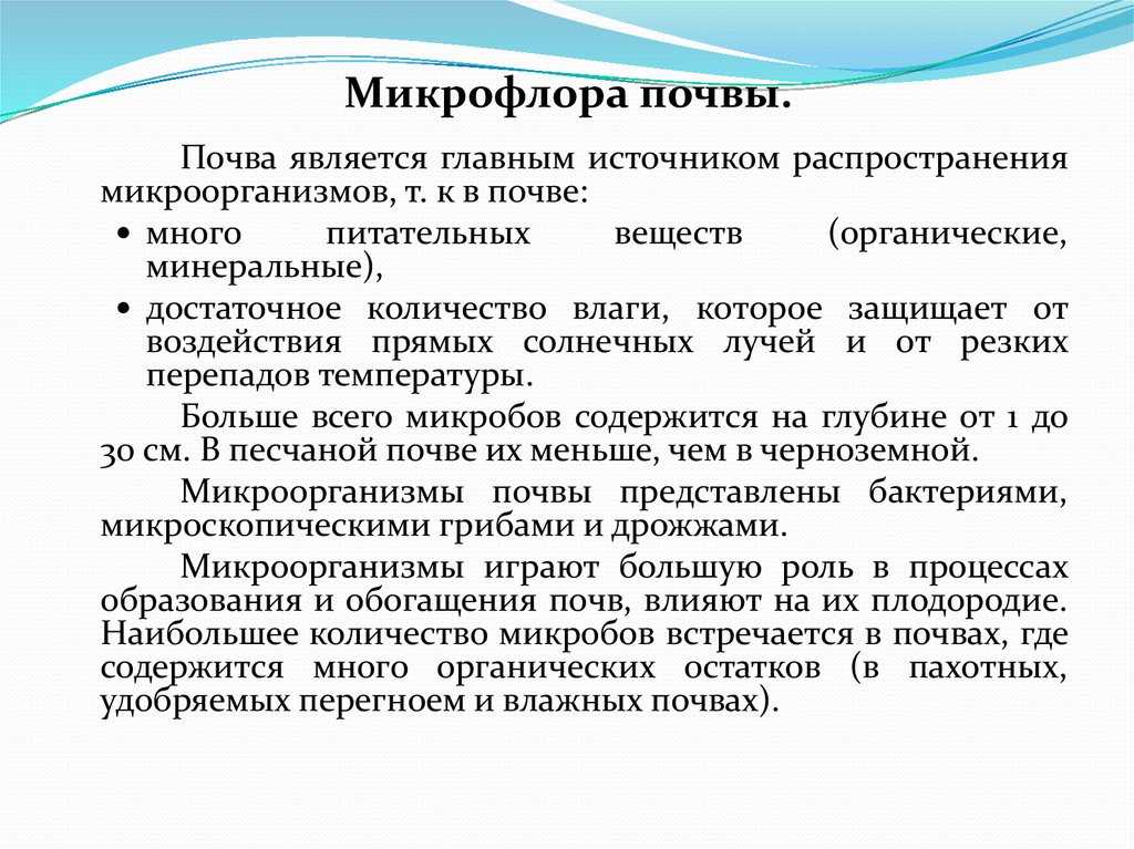 Микрофлора почвы: особенности, состав микроорганизмов