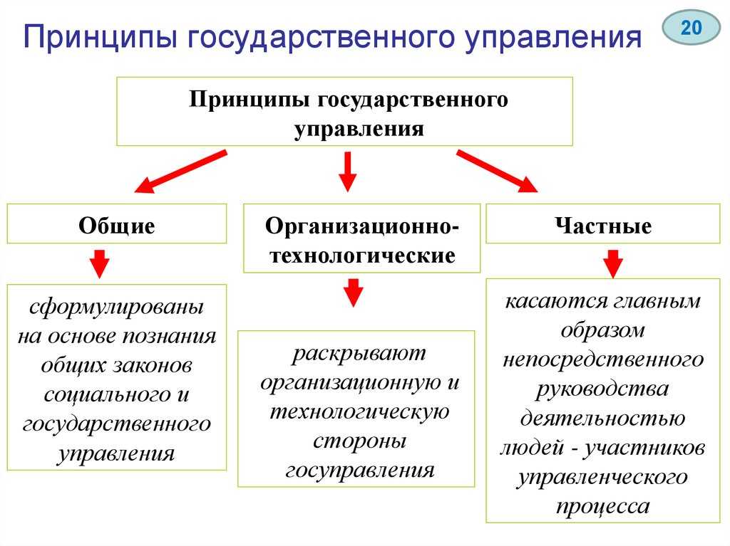 Административное право в системе управления - административное право (кушнир и.в., 2010)