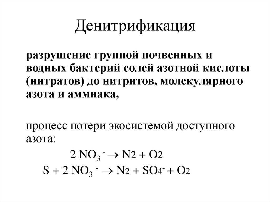 Разница между азотфиксацией и нитрификацией - наука - 2023