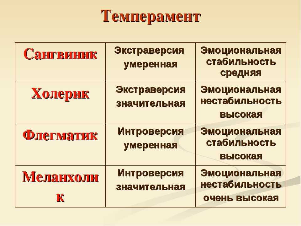 Темперамент - это что? типы темперамента и их особенности