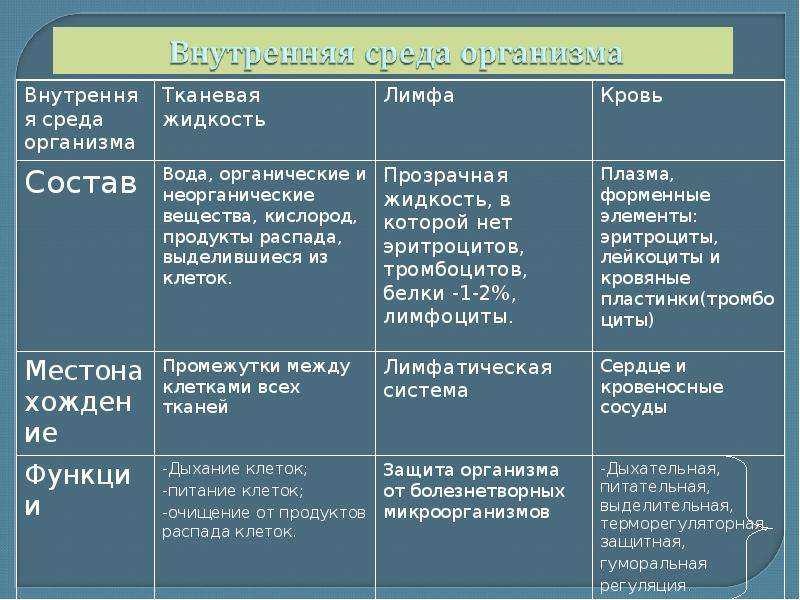 Внутренняя среда предприятия, ее состояние и проблемы в россии