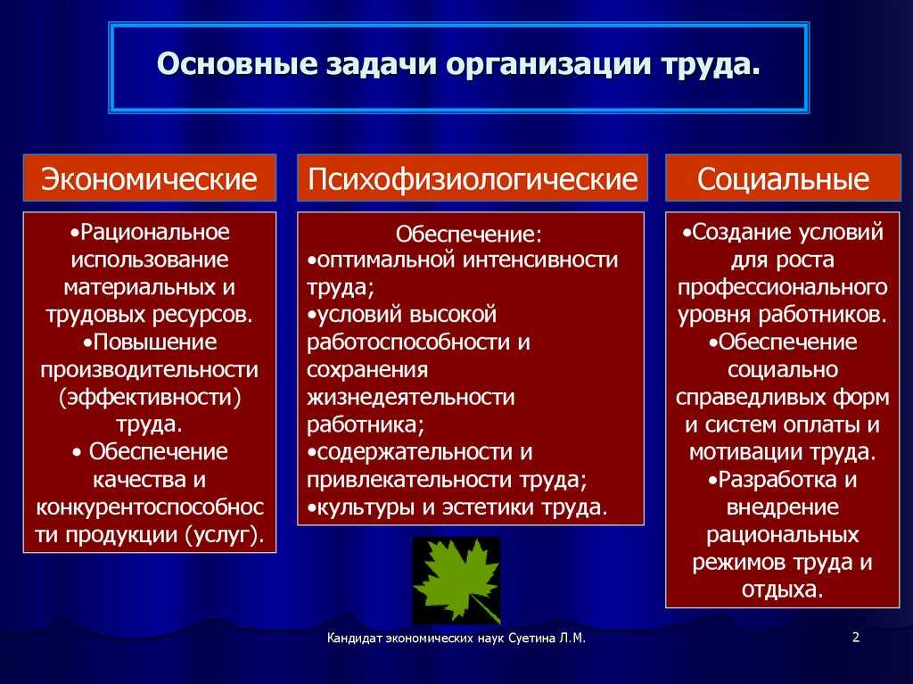 Организация работы по научной организации труда на предприятии