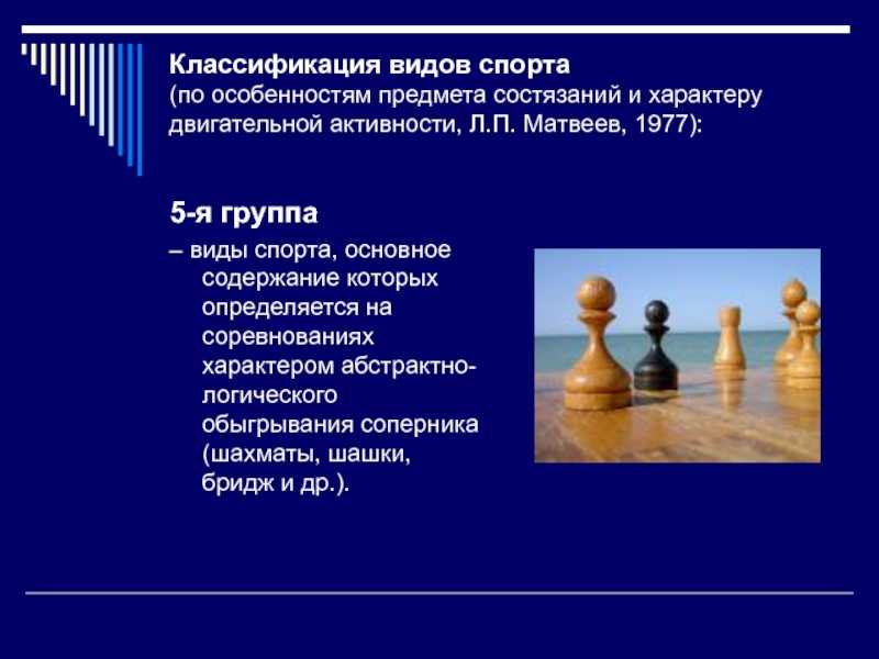 Классификация видов спорта кратко
