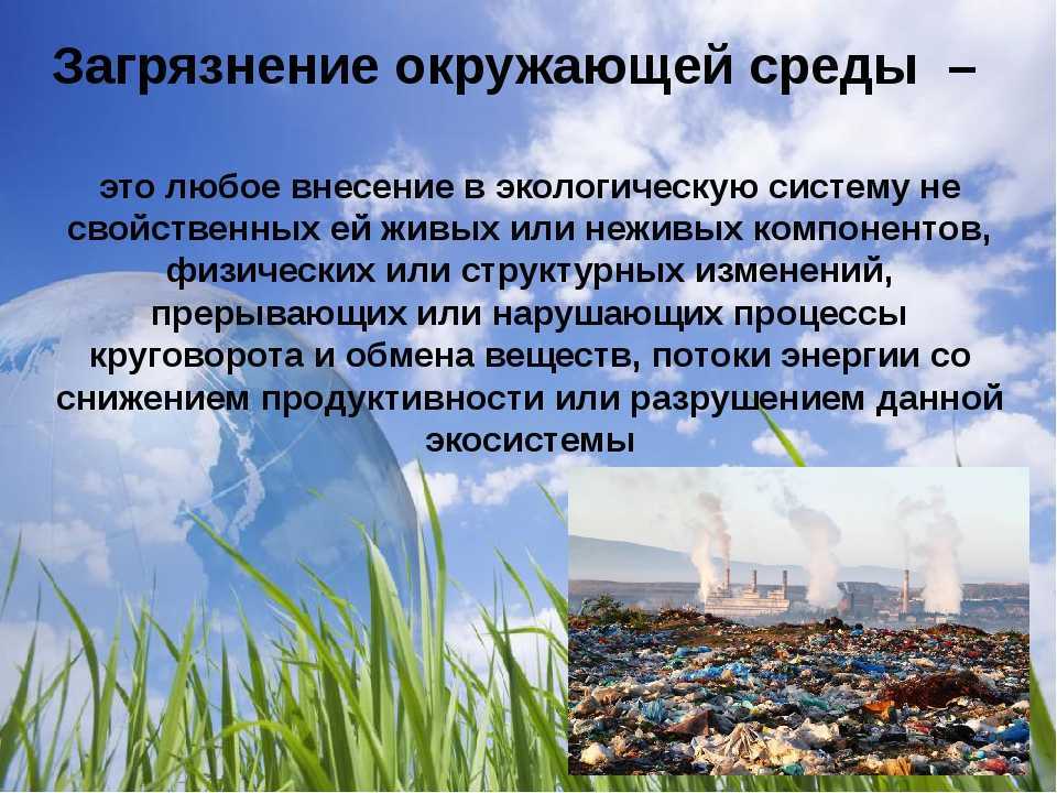 Глобальные проблемы человечества в современном мире и пути их решения — природа мира