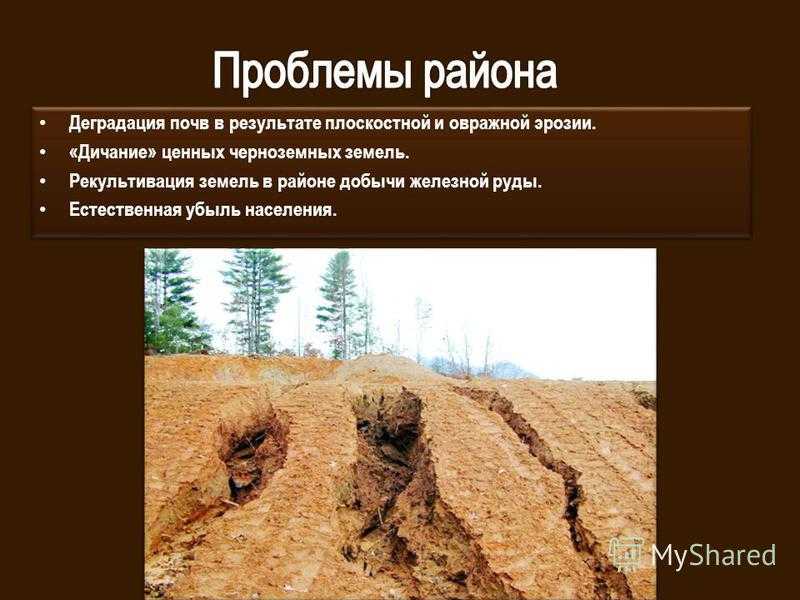 Экологические проблемы центрально черноземного района россии кратко