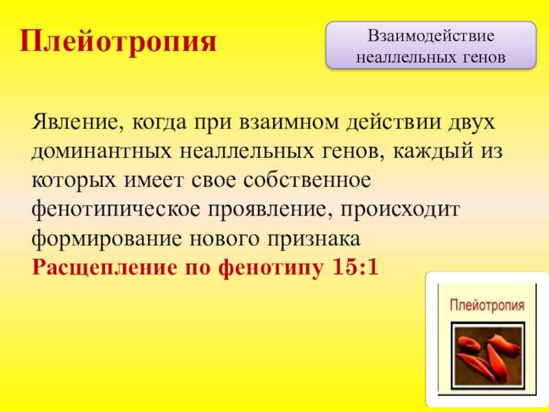 Разница между плейотропией и полигенным наследованием - разница между - 2023
