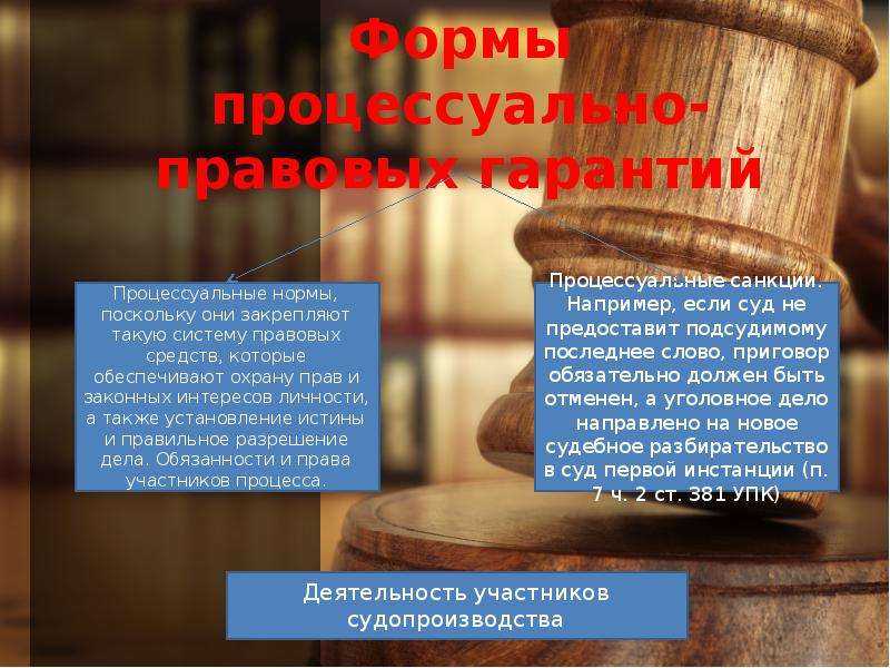 Процессуально-правовые гарантии