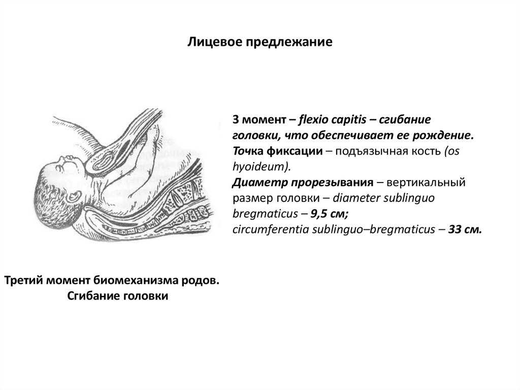 Пособие по цовьянову 2