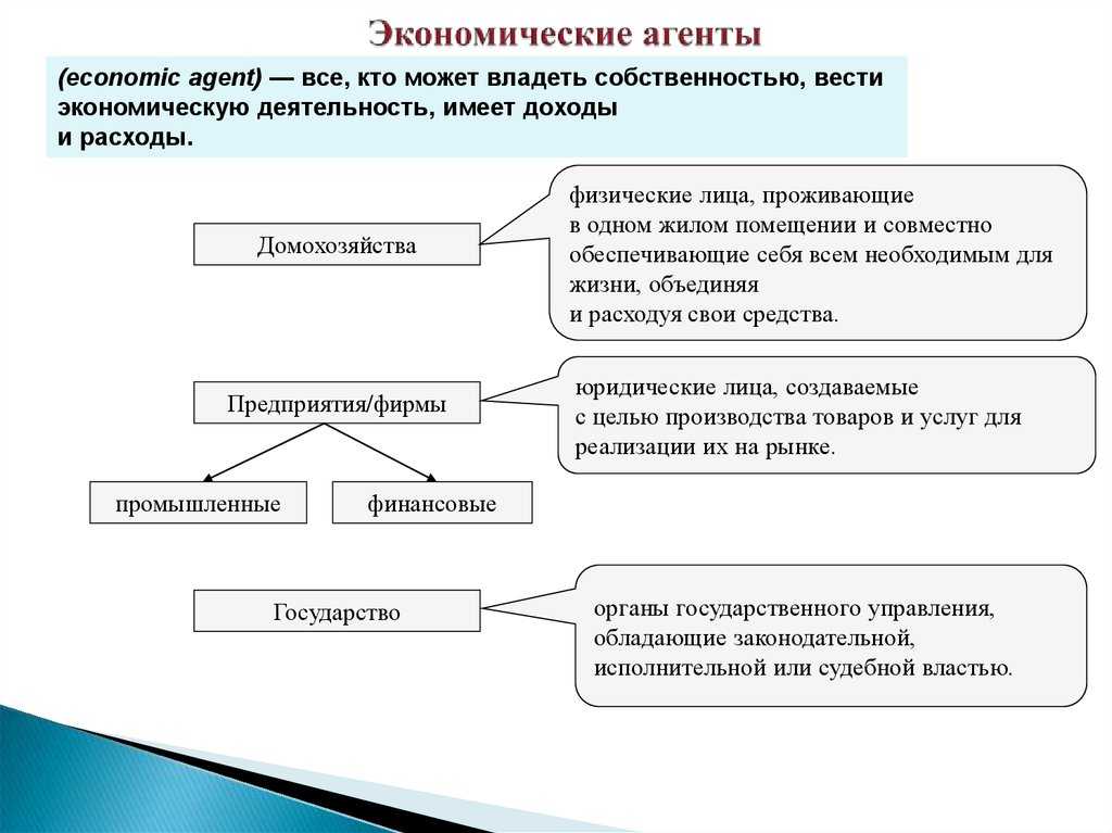 Функции экономических агентов - концепция, виды и определения
