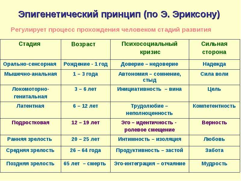 Эпигенетическая теория развития личности э.эриксона - психологос