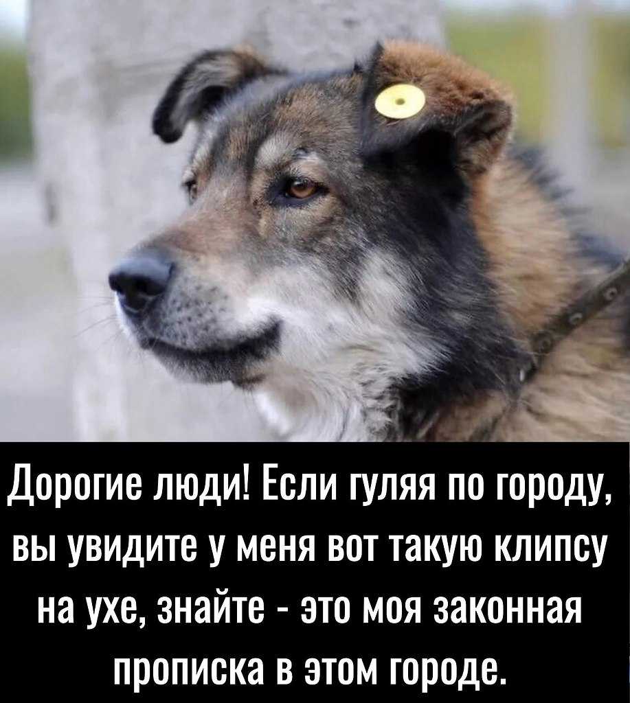 Коэффициент температуропроводности  - словарь терминов | пластэксперт - все о пластиках и полимерах