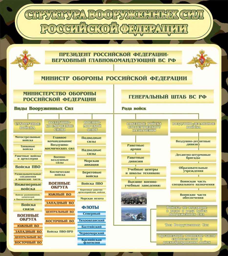 Специальные войска св рф 🔥 история, состав, структура, вооружение, праздники