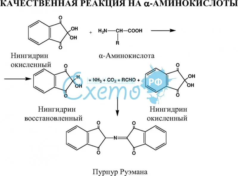 Аминокислоты - химический факультет самарского университета