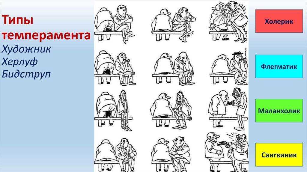 Что такое темперамент человека: определение, чем отличается от характера, описание 4 типов + тесты для самодиагностики