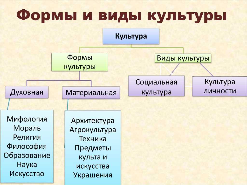 Виды  культуры: основные формы, характеристики, примеры