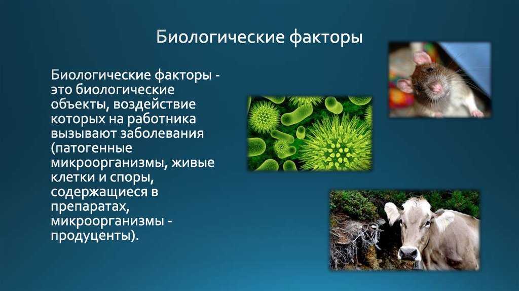 Биотические факторы – примеры среды обитания в живой природе, определение кратко (11 класс, биология)