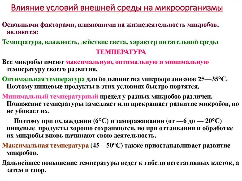 Влияние факторов внешней среды на жизнедеятельность микроорганизмов. микроорганизмы, используемые в микробиологической промышленности