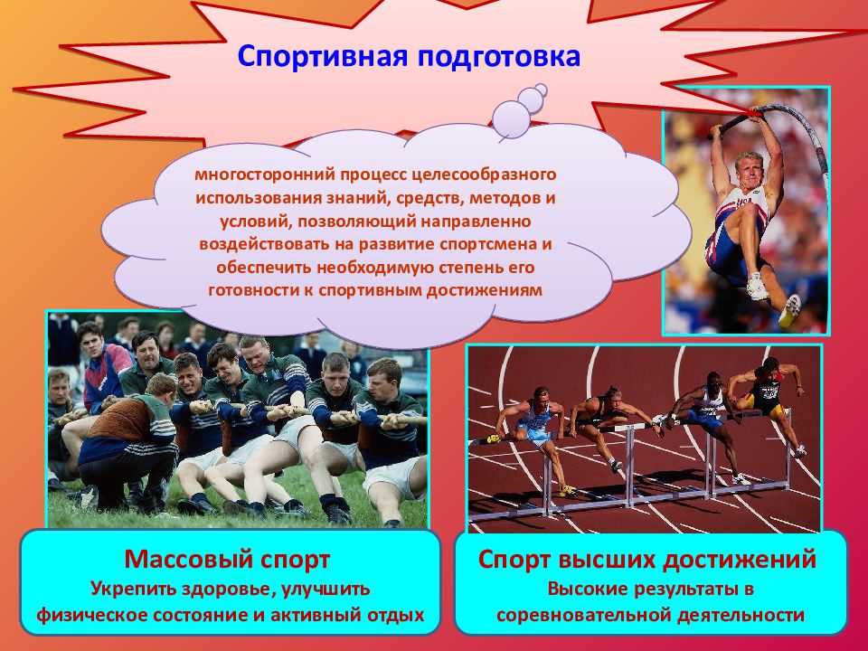 Виды подготовки спортсменов и их взаимосвязь