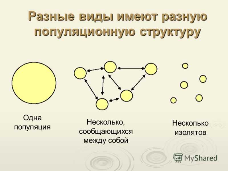 Биология. 10 класс