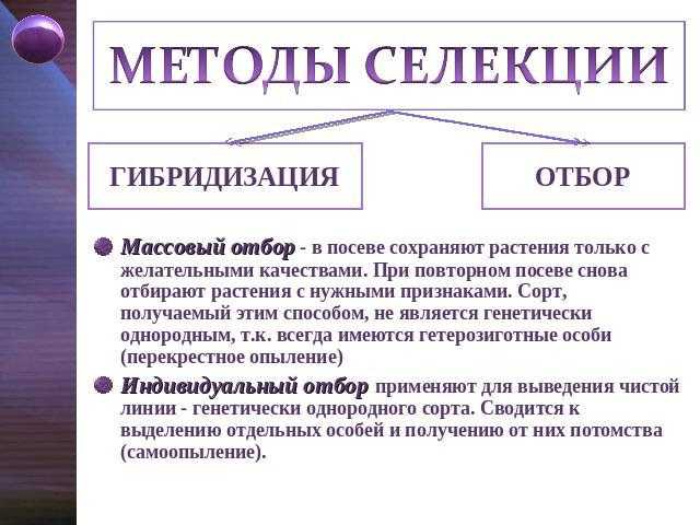 Методы селекции живых организмов | организм как биологическая система | теория | решутест. продвинутый тренажёр тестов