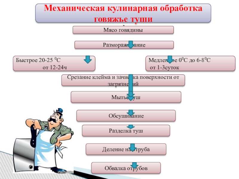 Способы механической обработки говядины