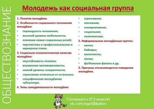 Решу егэ обществознание молодежь в современном обществе