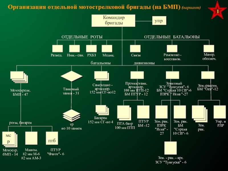 Организация вооружения и боевая техника мотострелкового взвода