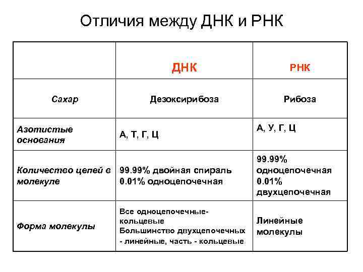 Презентация на тему: "нуклеиновые кислоты. сравнительная характеристика днк и рнк.". скачать бесплатно и без регистрации.