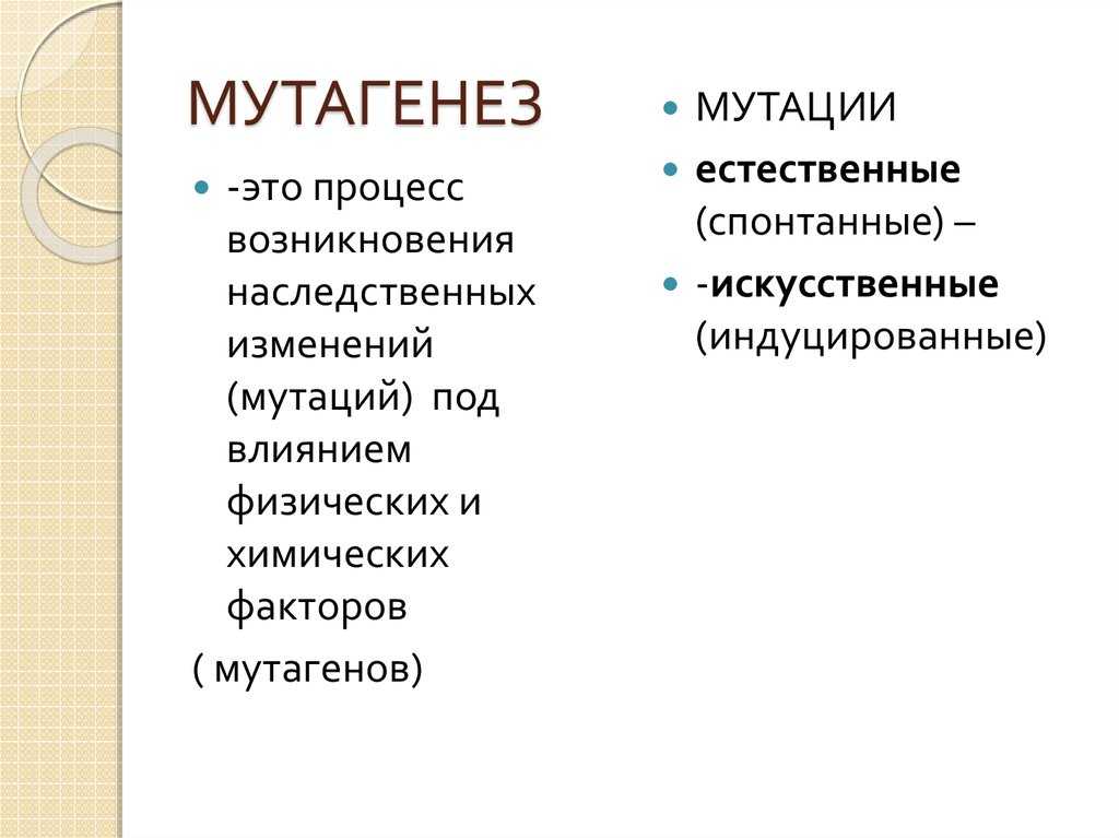 Что это — мутагены, в чем они содержатся и как влияют на жизнь человека