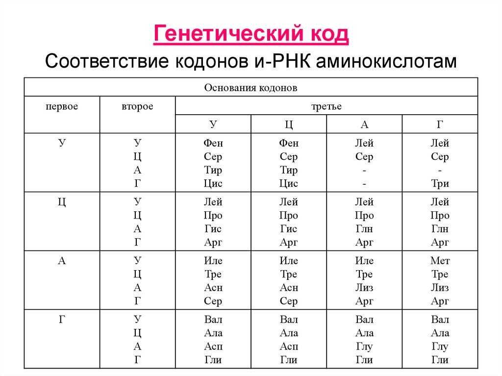 Биология клетки/часть 1. клетка как она есть/3/4 — викиучебник
