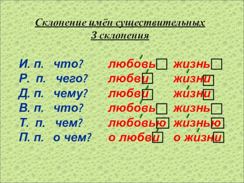 Третье склонение латинского языка | парадигма третьего склонения латыни | согласный тип iii склонения | гласный тип | смешанный тип | латинские существительные 3-го склонения | понятие равносложности в латинской грамматике | репетитор по латинскому языку