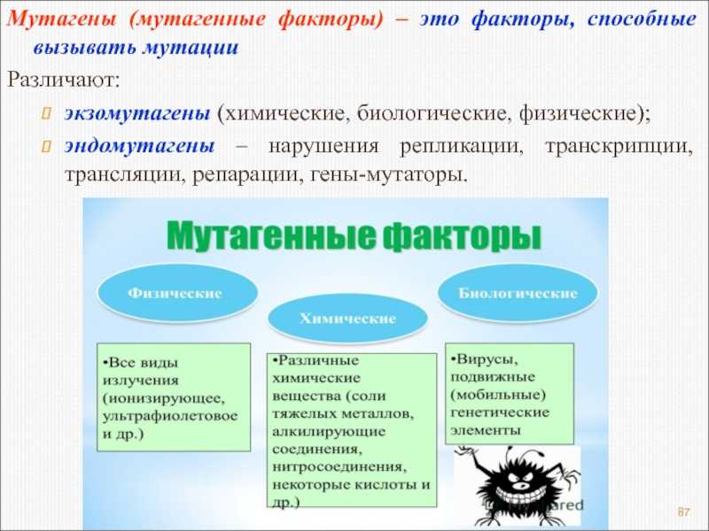 Научная библиотека - рефераты -  физические мутагены