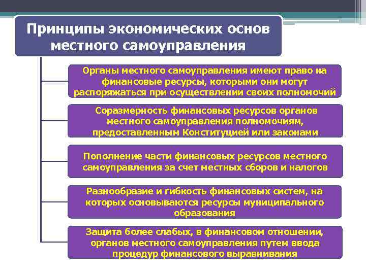 Система и структура органов местного самоуправления