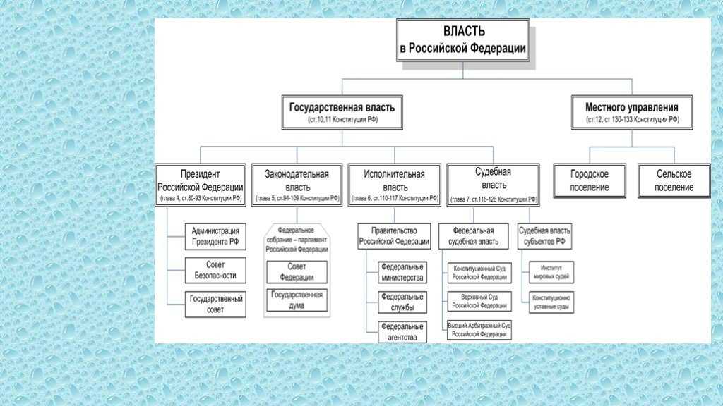Система органов государственной власти субъектов рф
