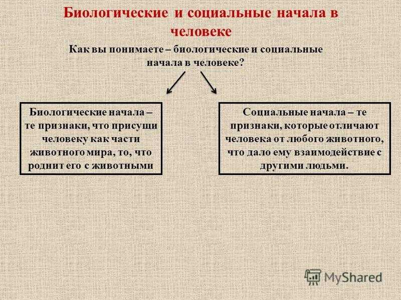 Человек как биосоциальное существо кратко философия