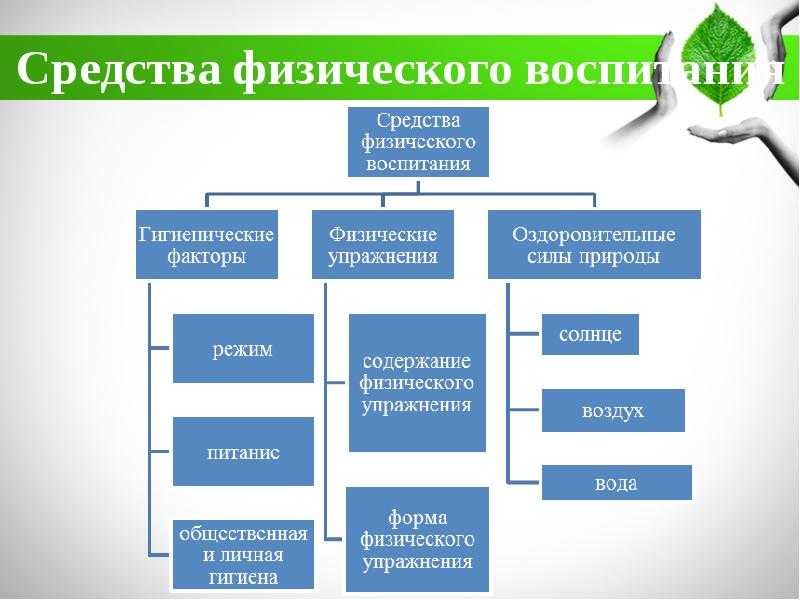 Физическое воспитание: понятие, средства