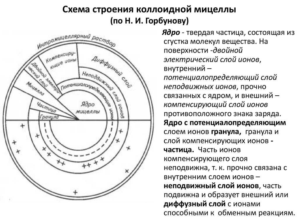 Мицелла как составлять из уравнения