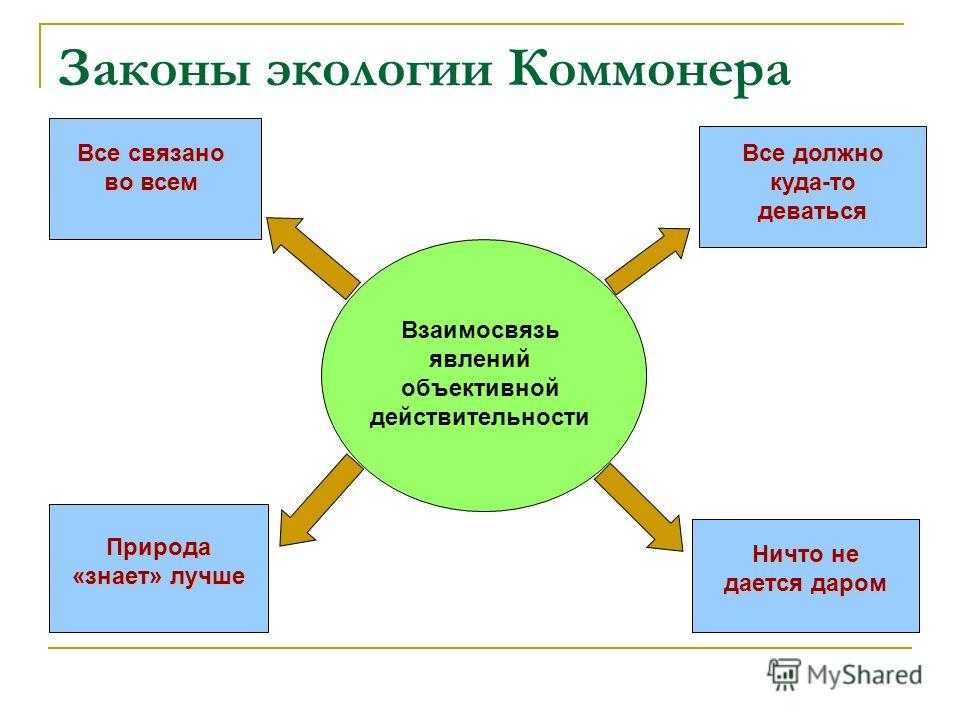 Четыре закона экологии барри коммонера | экология сегодня