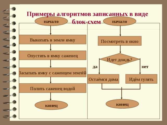 Блок-схема алгоритма: разбираемся в особенностях