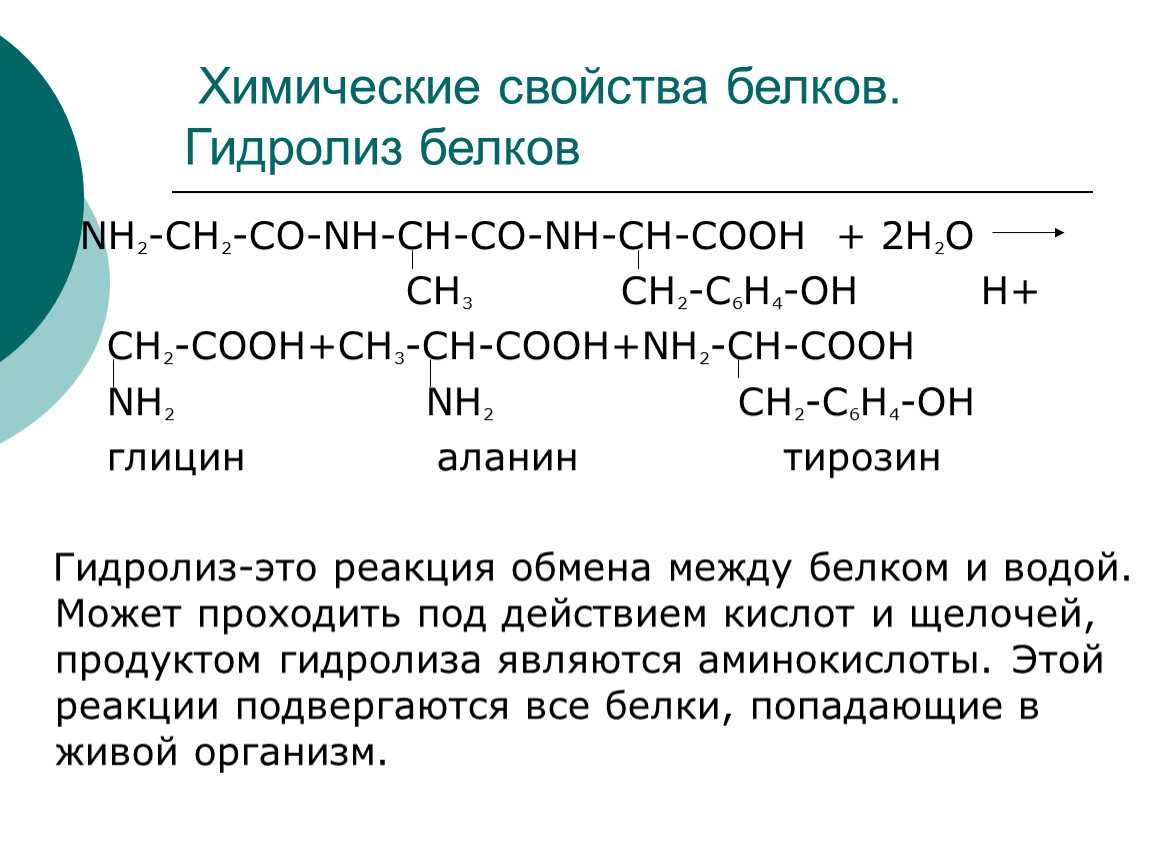 Уравнение биуретовой реакции на белок