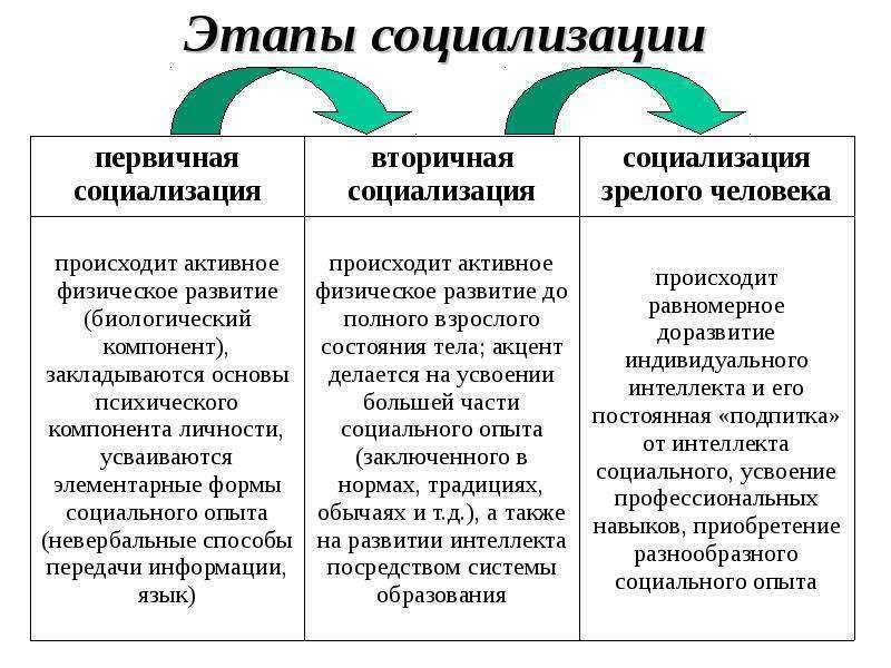 Социализация личности и ее агенты