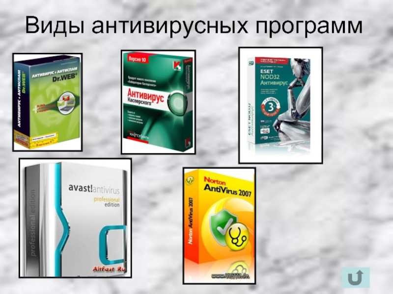 Лекция 13 - вирусы и антивирусные программы