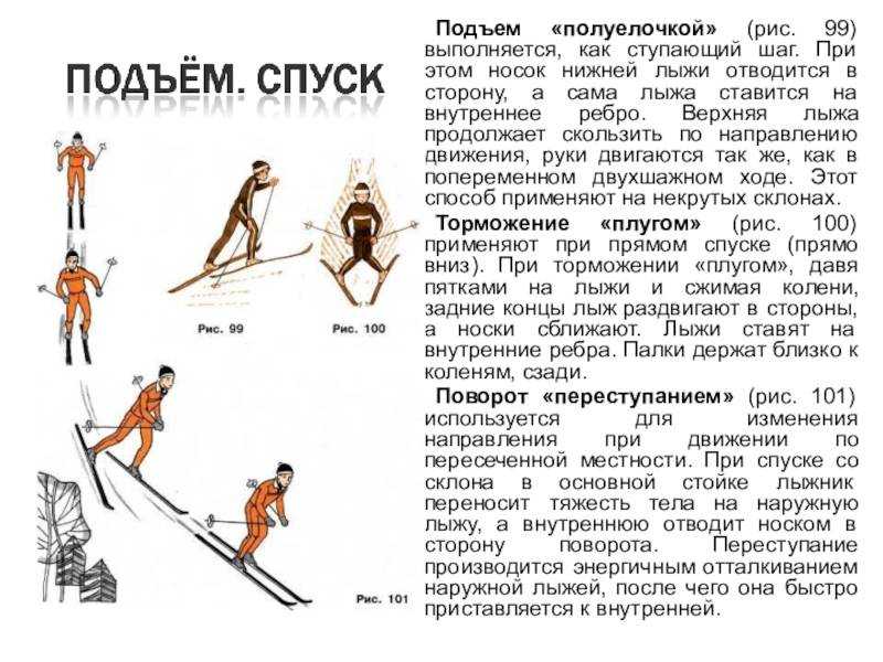 Техника классической ходьбы на лыжах