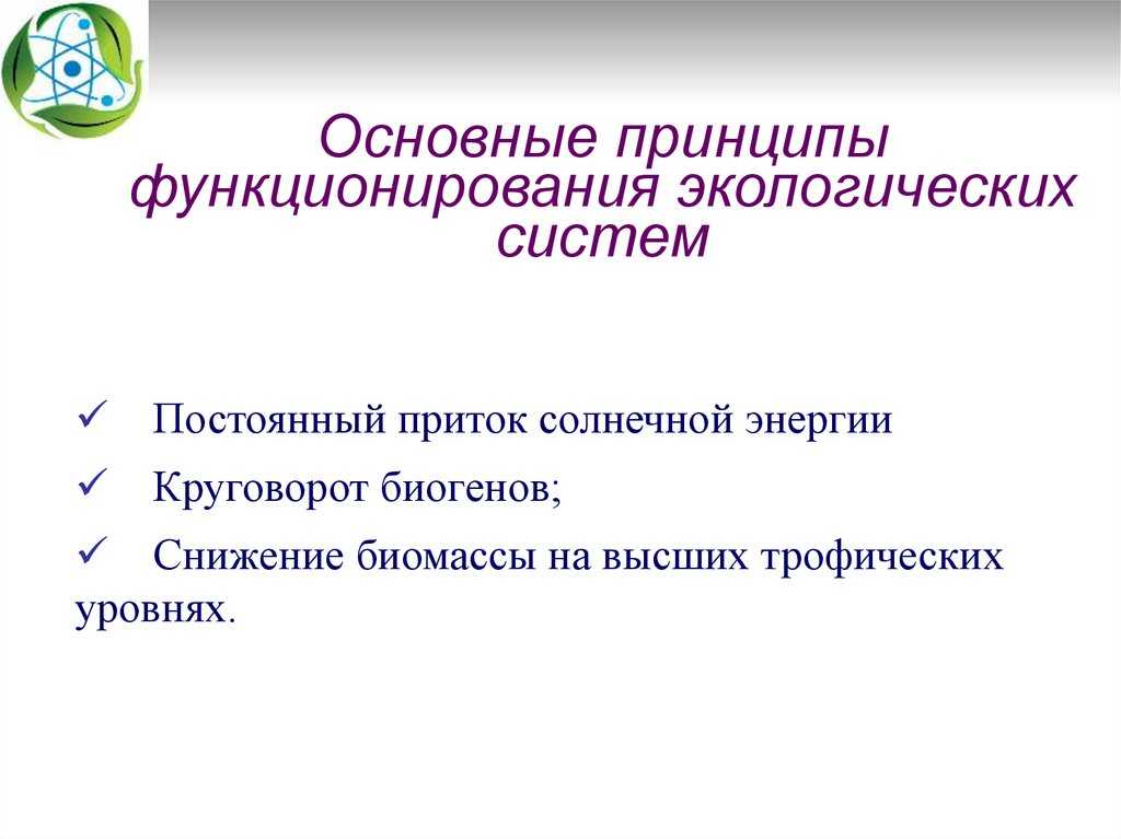 Структура и компоненты экосистемы: подробные пояснения