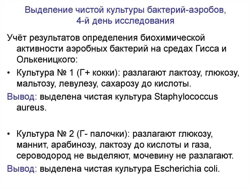 Выделение чистой культуры бактерий: идентификация аэробов и анаэробов