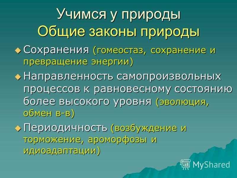 Законы природы